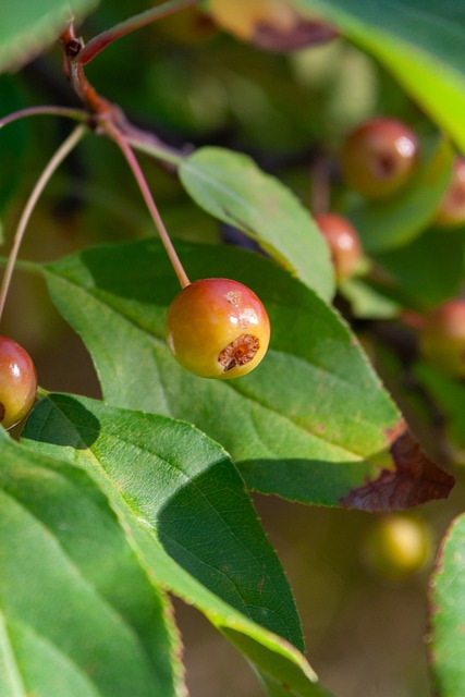 经验和骑士 经验和骑士