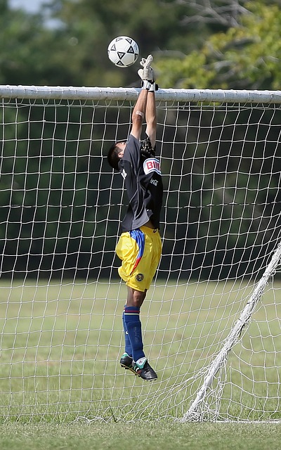 由此可见 由此可见