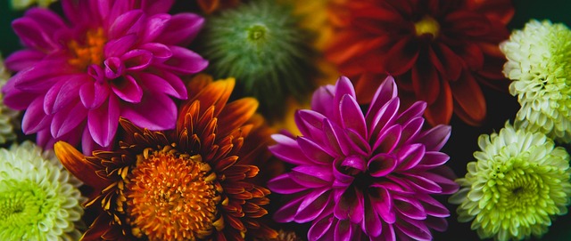 性方面发挥 性方面发挥