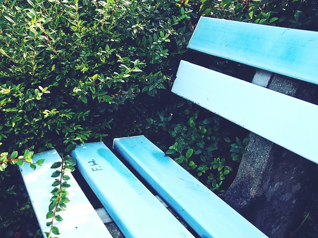 制定保护政 制定保护政