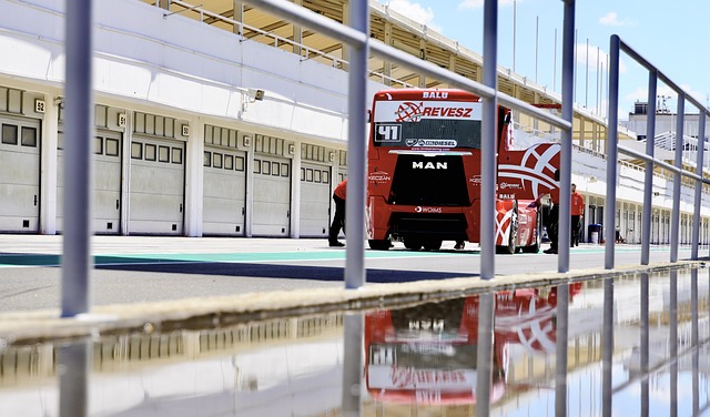 入了鲜活的 入了鲜活的