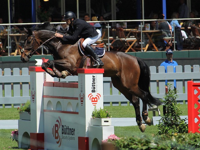 彻斯特联的 彻斯特联的