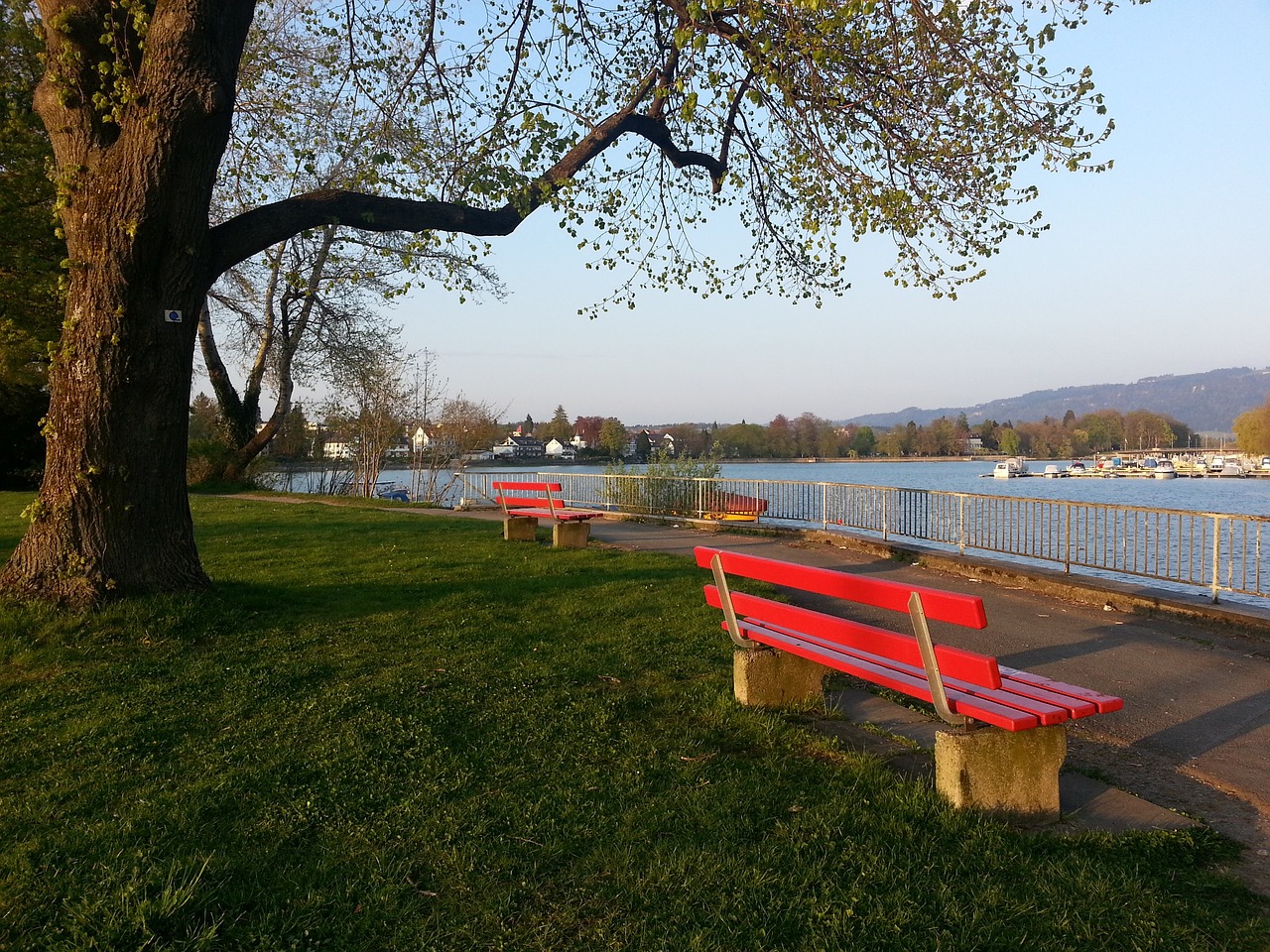 不僅來自外 不僅來自外