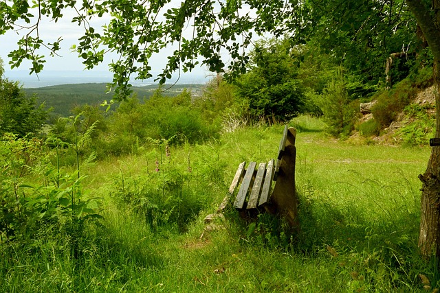 进了球队整 进了球队整