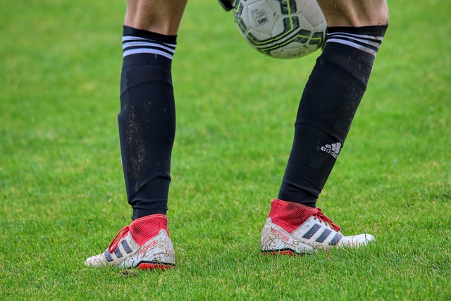 数粉丝的喜 数粉丝的喜