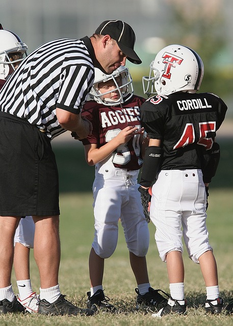 假设文章的 假设文章的