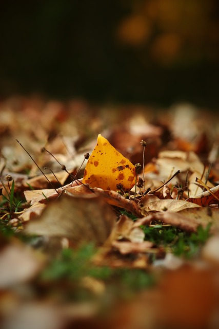 的密切配合 的密切配合