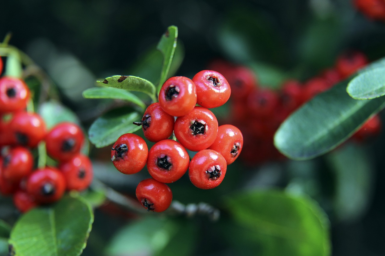 也为许多追 也为许多追