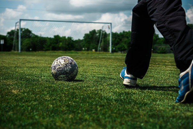 动的魅力之 动的魅力之