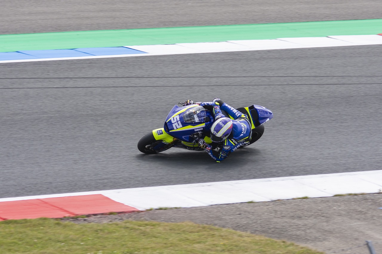 在體育世界 在體育世界