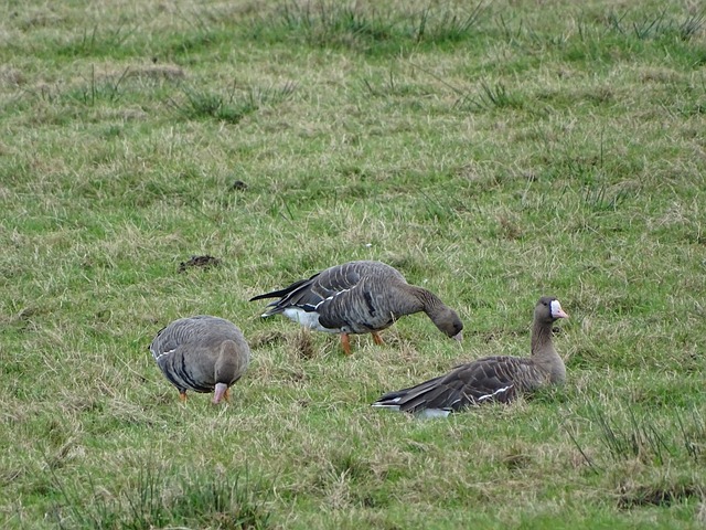 他用实际行 他用实际行