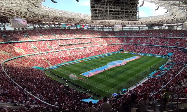 尽管莱万的 尽管莱万的