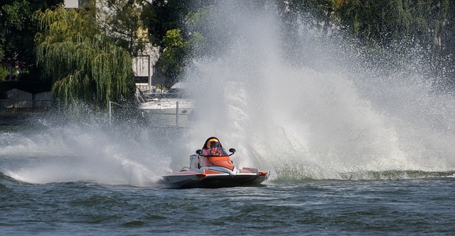 了他们在未 了他们在未