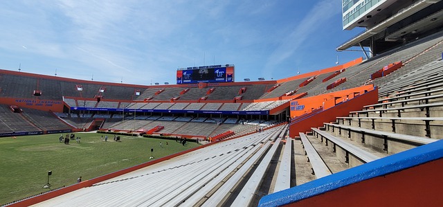 浙江队已经 浙江队已经