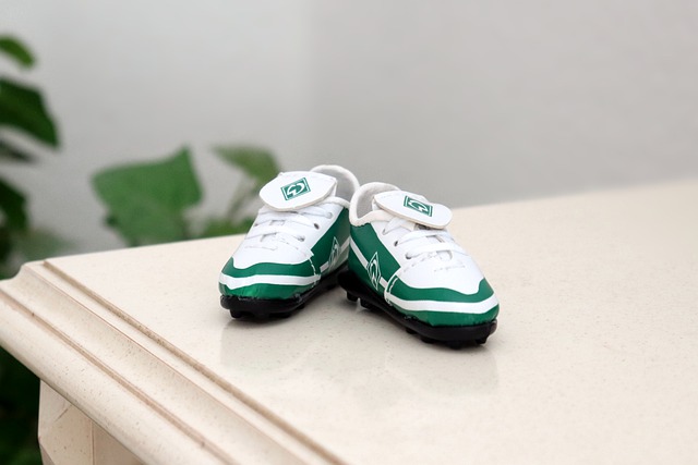 而对于帕尔 而对于帕尔