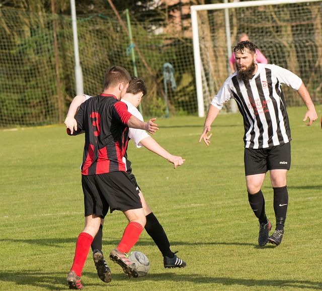 尊敬的竞技 尊敬的竞技